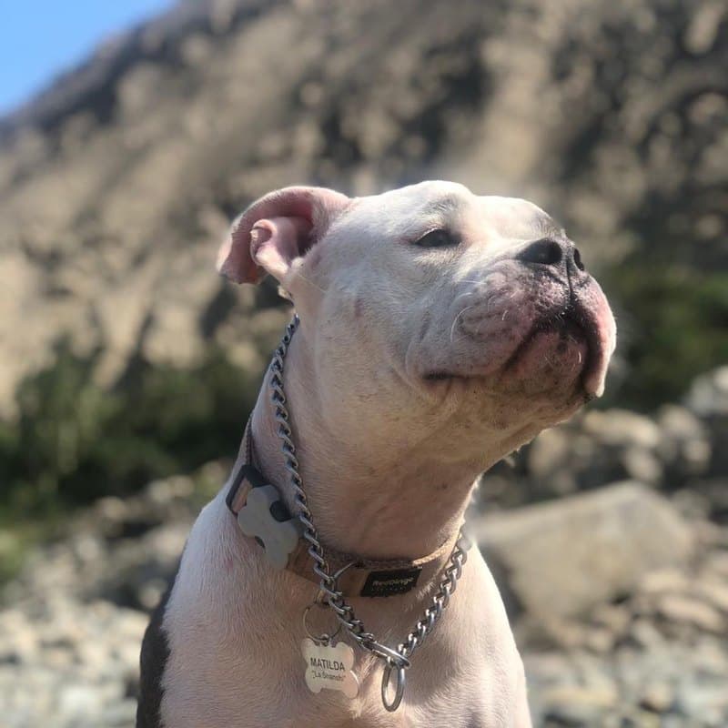 Matilda